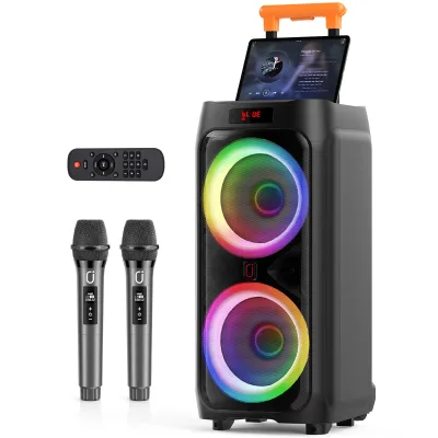 Enceinte karaoké Bluetooth avec 2 micros sans fil